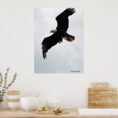 Plakat "Eagle in Flight" (Küche)