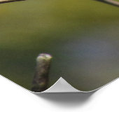 Plakat - Flycatcher (Ecke)