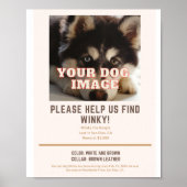 Plakat für deinen vermissten Hund (Vorne)