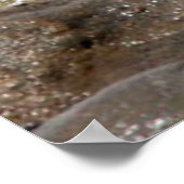 Plakat für den ruhigen Ozean (Ecke)