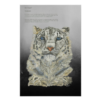 Plakat für gefährdete handgemalte Druckschneeopard Poster