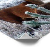 Plakat für Neugier (Ecke)