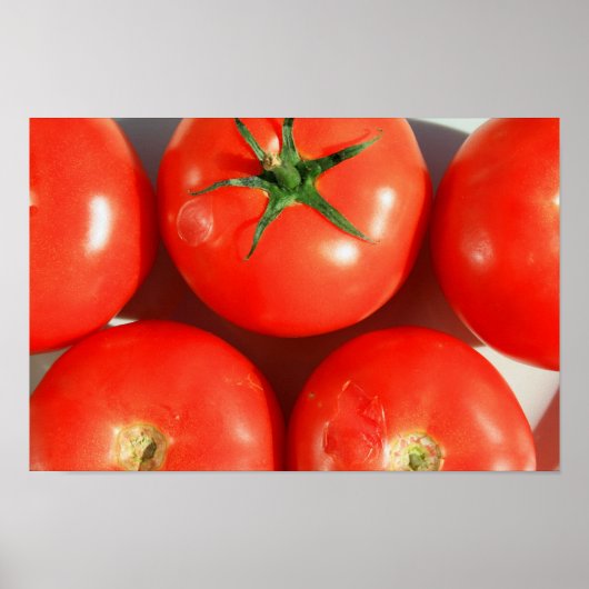 Plakat für Rote Tomaten (Vorne)