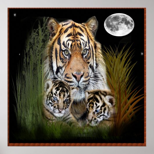 Plakat für Tiger und Naben (Vorne)
