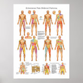 Plakat für visuelle Schmerzen bei Sklerotome (Vorne)