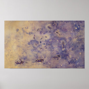 Plakat für Weltraumbienen