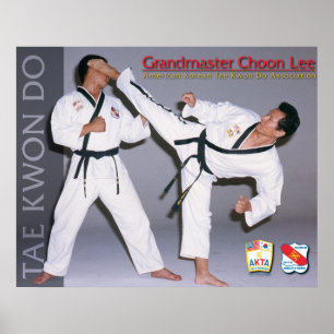 Plakat Grandmaster Choon Lee-AKTA