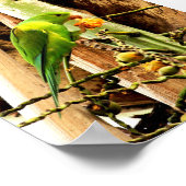 PLAKAT GRÜNER WELLENSITTICH 8 (Ecke)