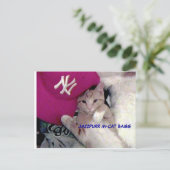 Plakat-Junge für Liebe Jazzpurr Postkarte (Stehend Vorderseite)