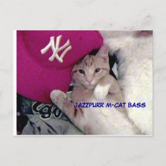 Plakat-Junge für Liebe Jazzpurr Postkarte