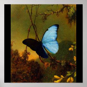 Plakat-Klassisch/Vintag-Martin Johnson Heade 3 Poster