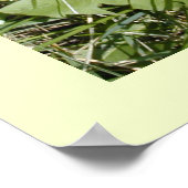 Plakat "Lüster sind Blume" (Ecke)