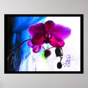 Plakat, magentarote Orchidee, Poster