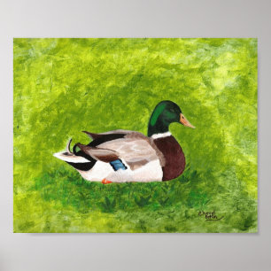 Plakat mit Gemälde einer Stockente, die im Gras si