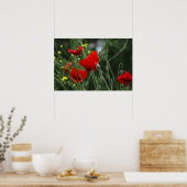 Plakat mit Mohnblumen in der Natur (Küche)