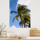 Plakat mit Palme (Küche)