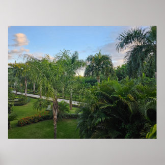Plakat mit Palme