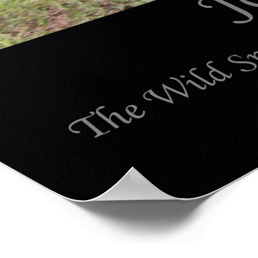 Plakat "Moon Dancer" - Reise (Ecke)