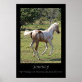 Plakat "Moon Dancer" - Reise (Vorne)