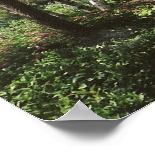 Plakat "Nicht abscheuen" (Ecke)