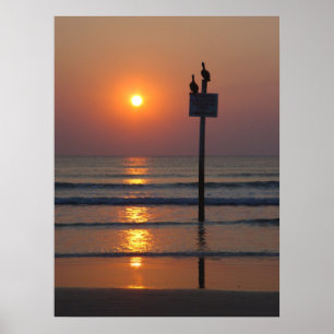 Plakat Pelikan-Sonnenaufgang-Ozean-Daytona Beach