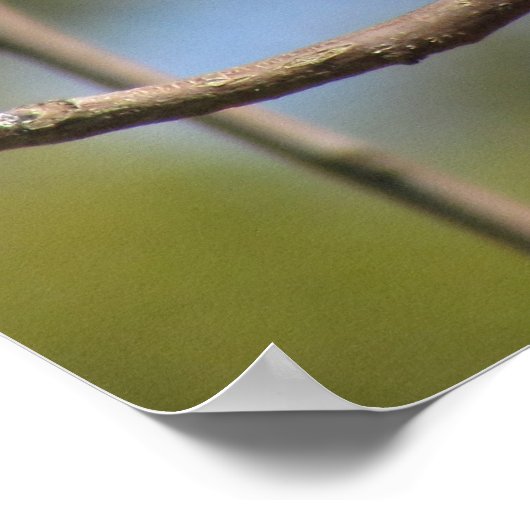 Plakat - Profil des Flügelfängers (Ecke)