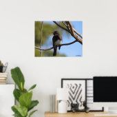 Plakat - Profil des Flügelfängers (Heimbüro)