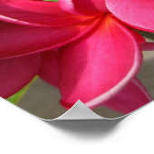 Plakat - rosa Klempner (Ecke)