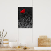 Plakat Rote Mohnblume (Küche)
