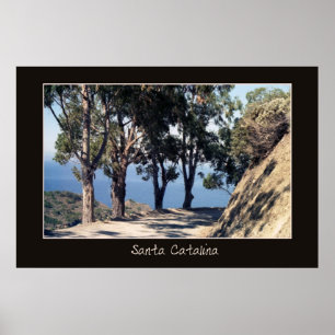 Plakat Sankt Catalina