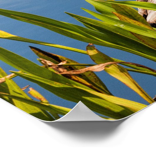 Plakat "Sei still und weiß ich bin Gott" (Ecke)