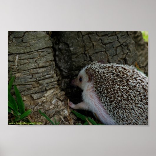 Plakat testen (Vorne)