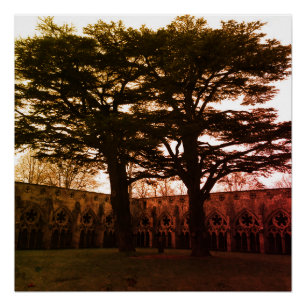 Plakat 'Tryst of Trees' Poster