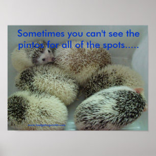 Plakat vieler Pintos