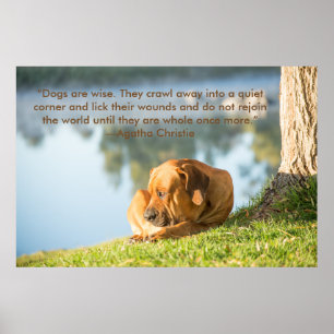 Plakat von Boerboel Hund mit inspirierend Zitat