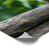 Plakat "White Tiger" (Ecke)