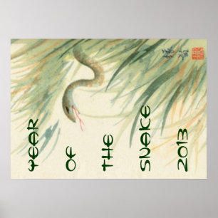 Plakat zum Jahr der Schlange