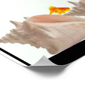 Plakat zum Schutz von Fischen (Ecke)