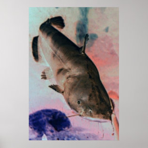 Plakatdruck für Catfish Foto Poster