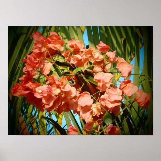 Plakatdruck für hawaiianische Blume Poster (Vorne)