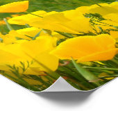 Plakate drucken Schullehrer Poppies (Ecke)