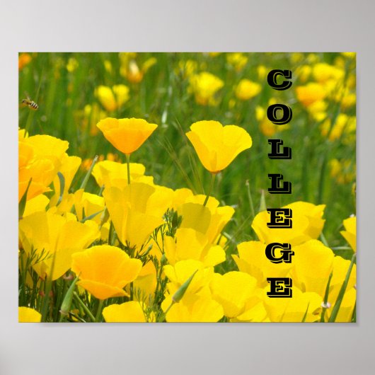 Plakate drucken Schullehrer Poppies (Vorne)