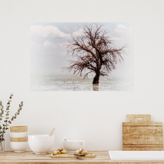 Plakate einen SINGLE BAUM IN EINEM SCHWIMMBAD MIT  (Küche)