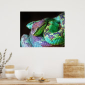 Plakatfarbene Schlangen Poster (Küche)