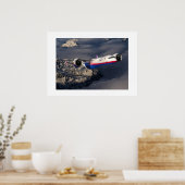 Plakatflugzeug Poster (Küche)