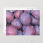 Plakatkarte Postkarte (Vorne/Hinten)