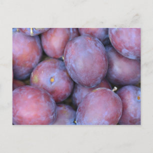 Plakatkarte Postkarte