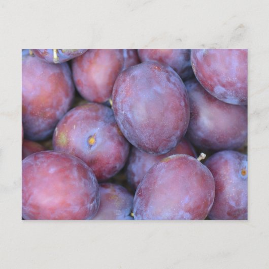 Plakatkarte Postkarte (Vorderseite)