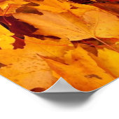 Plakatpapier (Matte) Poster (Ecke)
