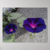 Plakatpapier mit Blumenbezug Poster (Vorne)